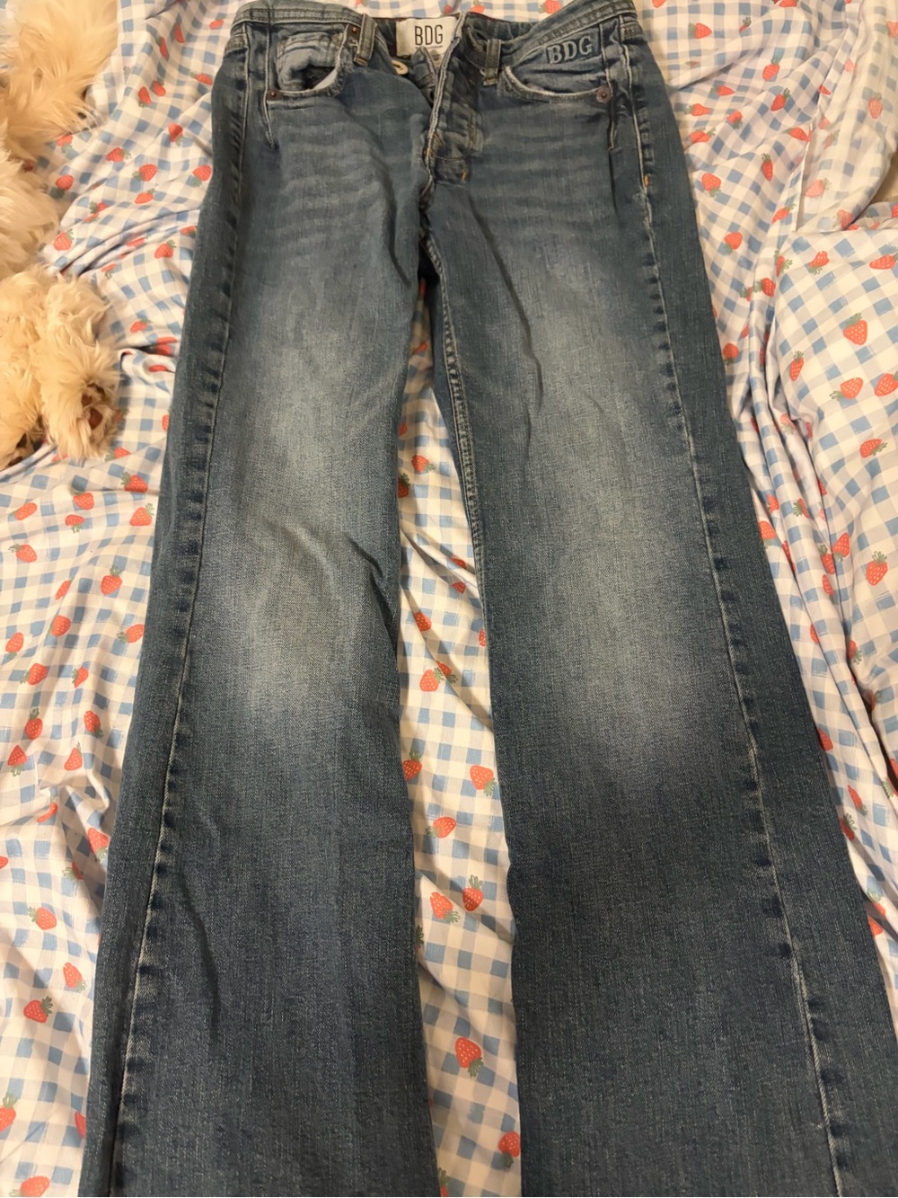 BDG Women’s Blue Wide-Leg Flare Jeans